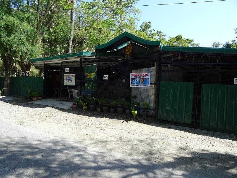 Happy Buddha Inn Puerto Galera Εξωτερικό φωτογραφία